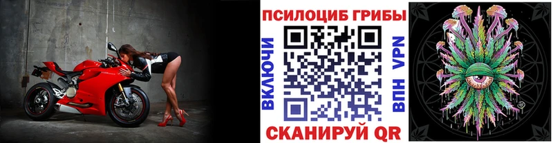 Галлюциногенные грибы прущие грибы  Светлогорск 