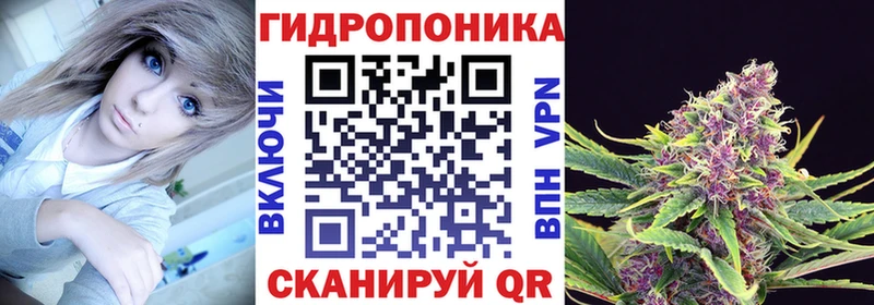 Бошки марихуана VHQ  как найти   Светлогорск 
